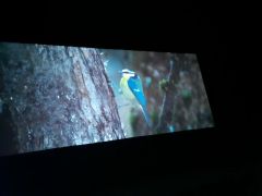 większy obrazek nr 10