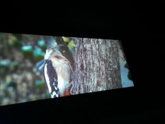 większy obrazek nr 11