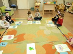 większy obrazek nr 5