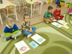 większy obrazek nr 9