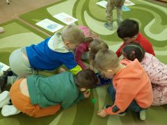 większy obrazek nr 17