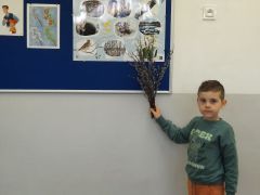 większy obrazek nr 3