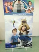 większy obrazek nr 7