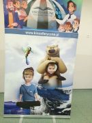 większy obrazek nr 11