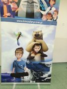 większy obrazek nr 12