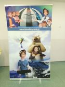 większy obrazek nr 13