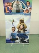 większy obrazek nr 15