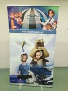 większy obrazek nr 17