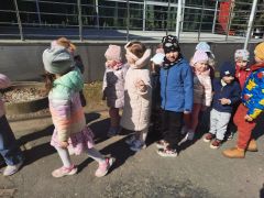 większy obrazek nr 2