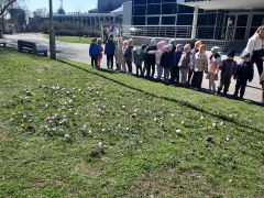 większy obrazek nr 46