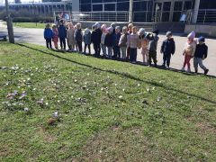 większy obrazek nr 47