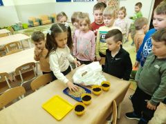 większy obrazek nr 1