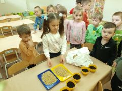 większy obrazek nr 2