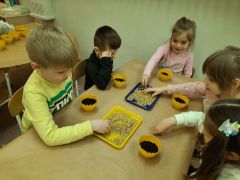 większy obrazek nr 5