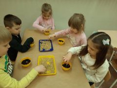 większy obrazek nr 7