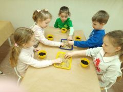 większy obrazek nr 14