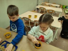 większy obrazek nr 17