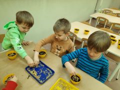 większy obrazek nr 23