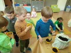 większy obrazek nr 25