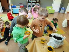 większy obrazek nr 26