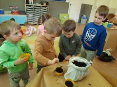 większy obrazek nr 27