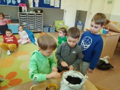 większy obrazek nr 28