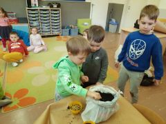 większy obrazek nr 29