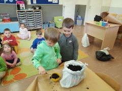 większy obrazek nr 30