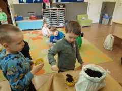 większy obrazek nr 33