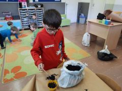 większy obrazek nr 38