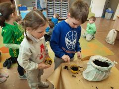 większy obrazek nr 39