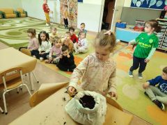 większy obrazek nr 42