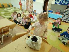 większy obrazek nr 43