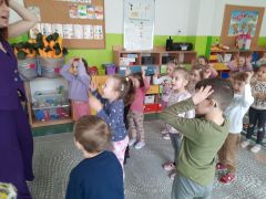 większy obrazek nr 12