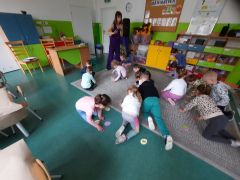 większy obrazek nr 41