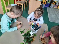 większy obrazek nr 97