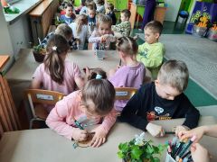 większy obrazek nr 99