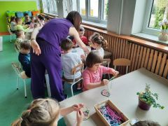 większy obrazek nr 115