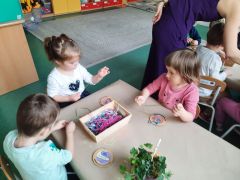 większy obrazek nr 116