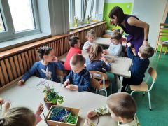 większy obrazek nr 120