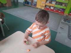 większy obrazek nr 9