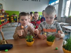 większy obrazek nr 18