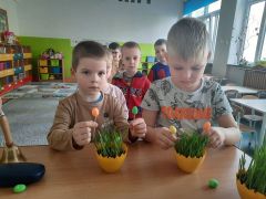 większy obrazek nr 19