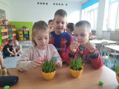 większy obrazek nr 20