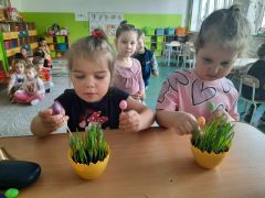 większy obrazek nr 25