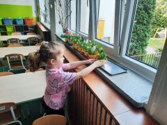 większy obrazek nr 26