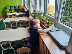 większy obrazek nr 27