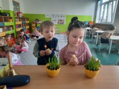 większy obrazek nr 28