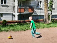 większy obrazek nr 13