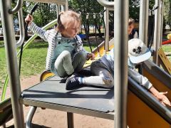 większy obrazek nr 29